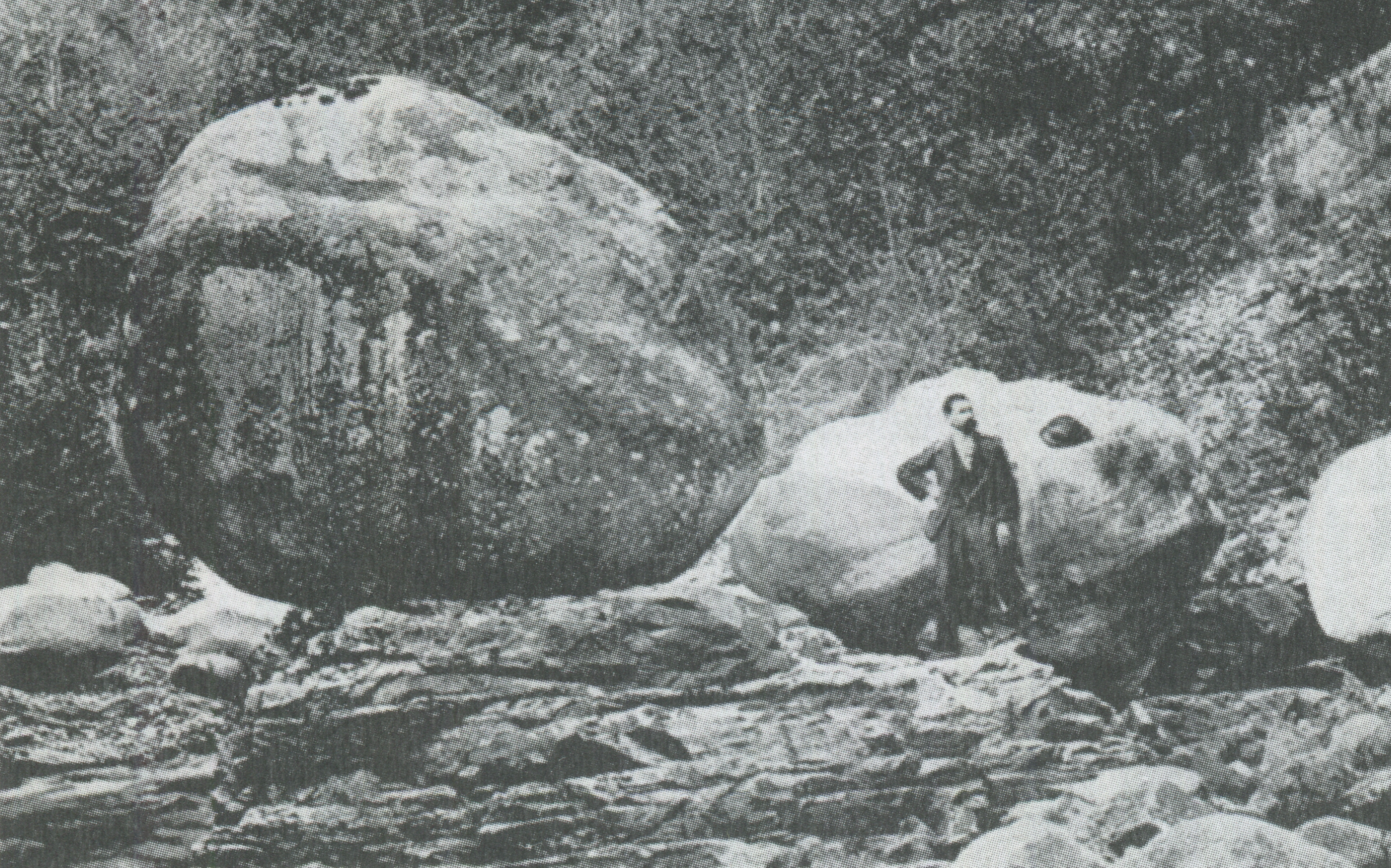 fig.1
