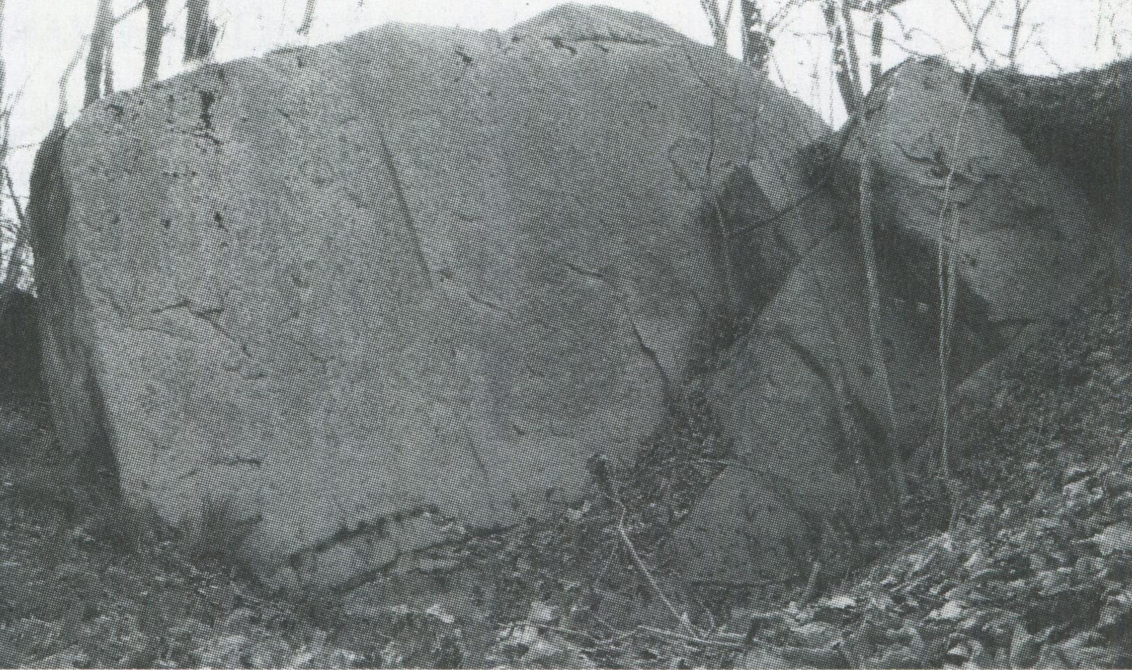 fig.2