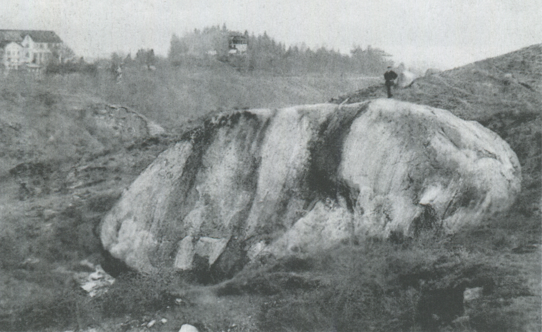 fig.9