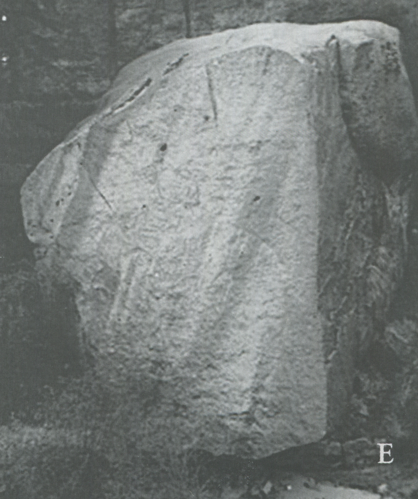 fig.E