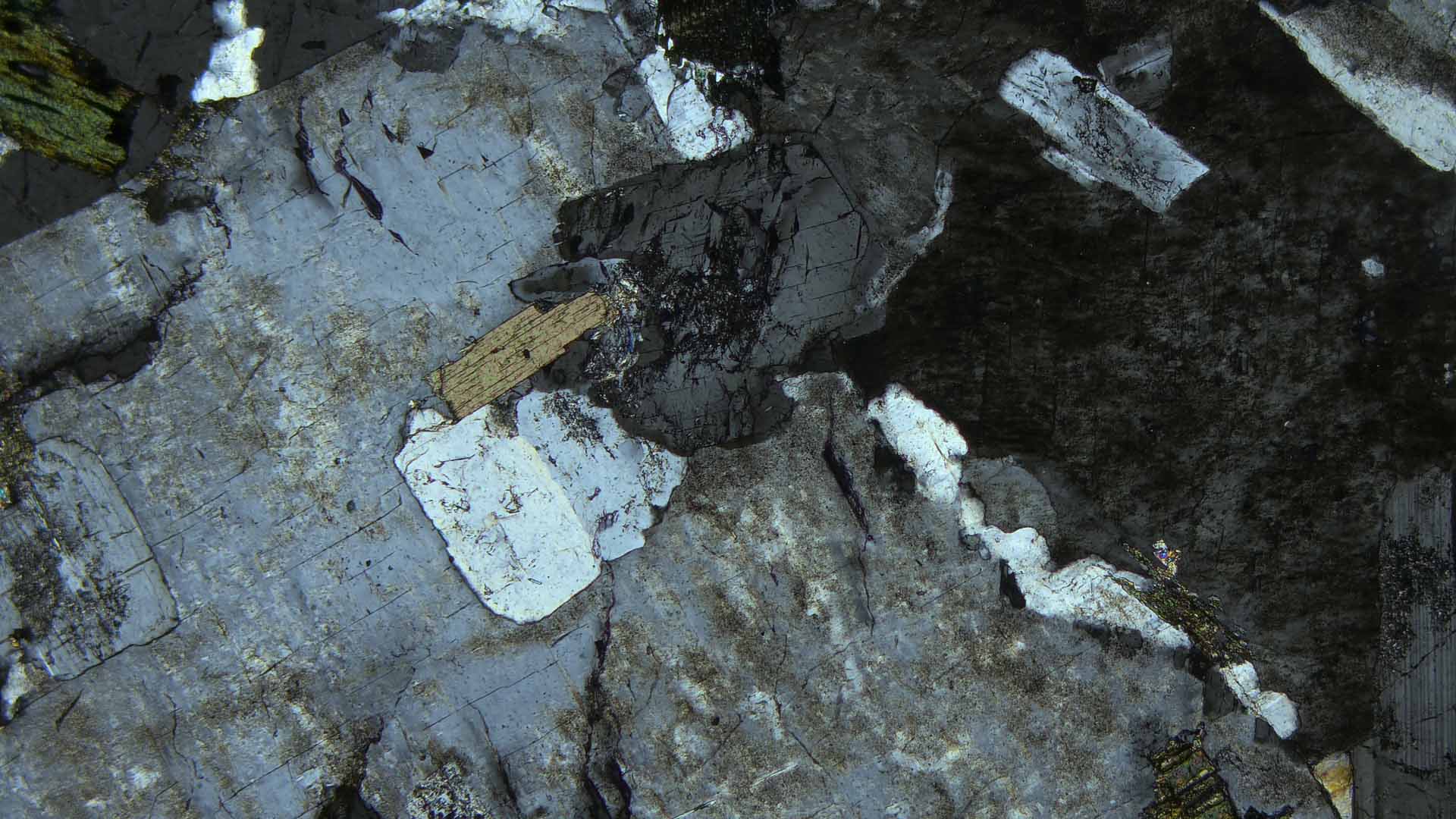 fig.4
